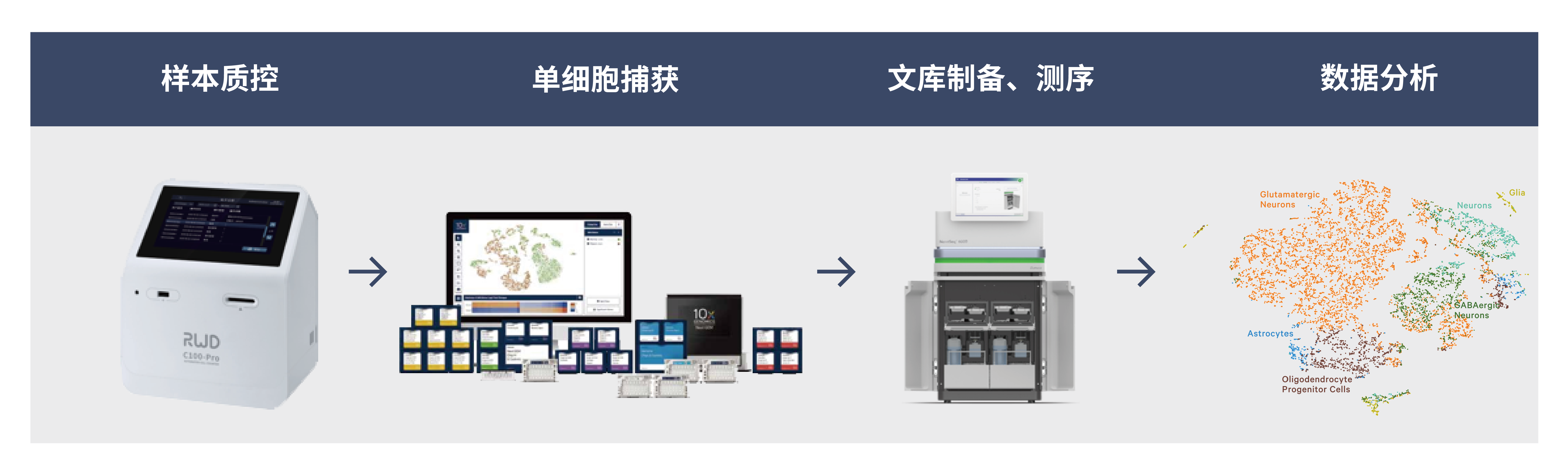 10x 单细胞组学 | 广科安德