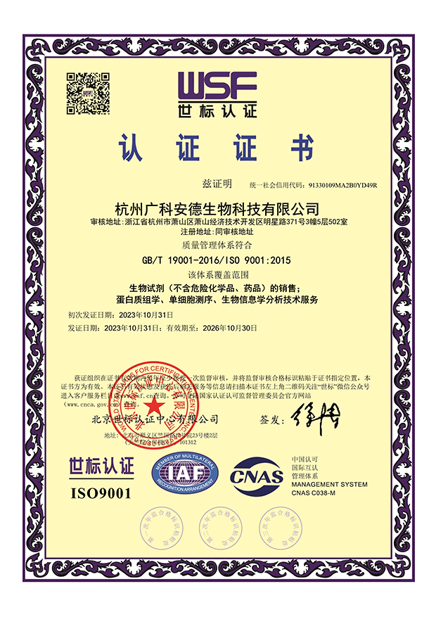 广科安德顺利通过 ISO9001 质量体系认证，向高质量再迈进！