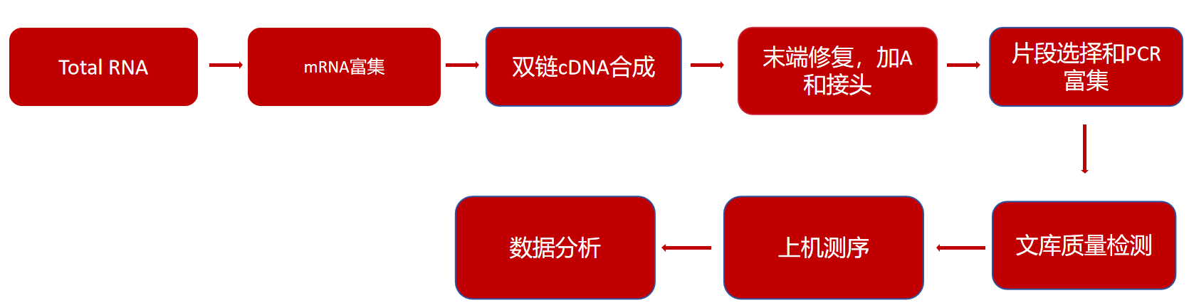 技术流程