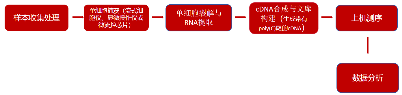 技术路线