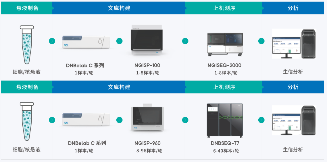 技术路线