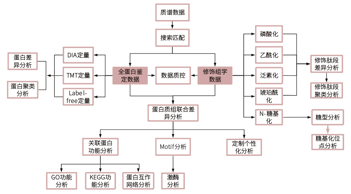 技术路线