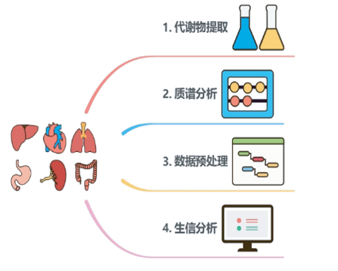 服务简介