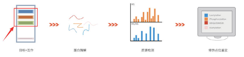 技术路线
