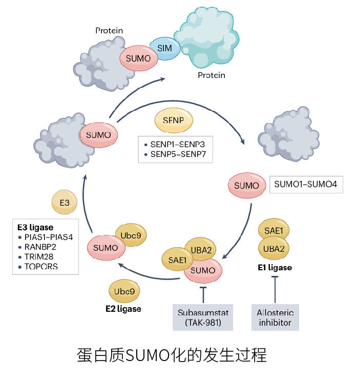 设备仪器