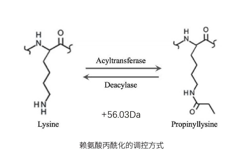 设备仪器
