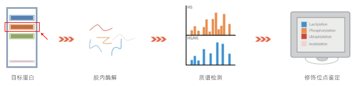 技术路线