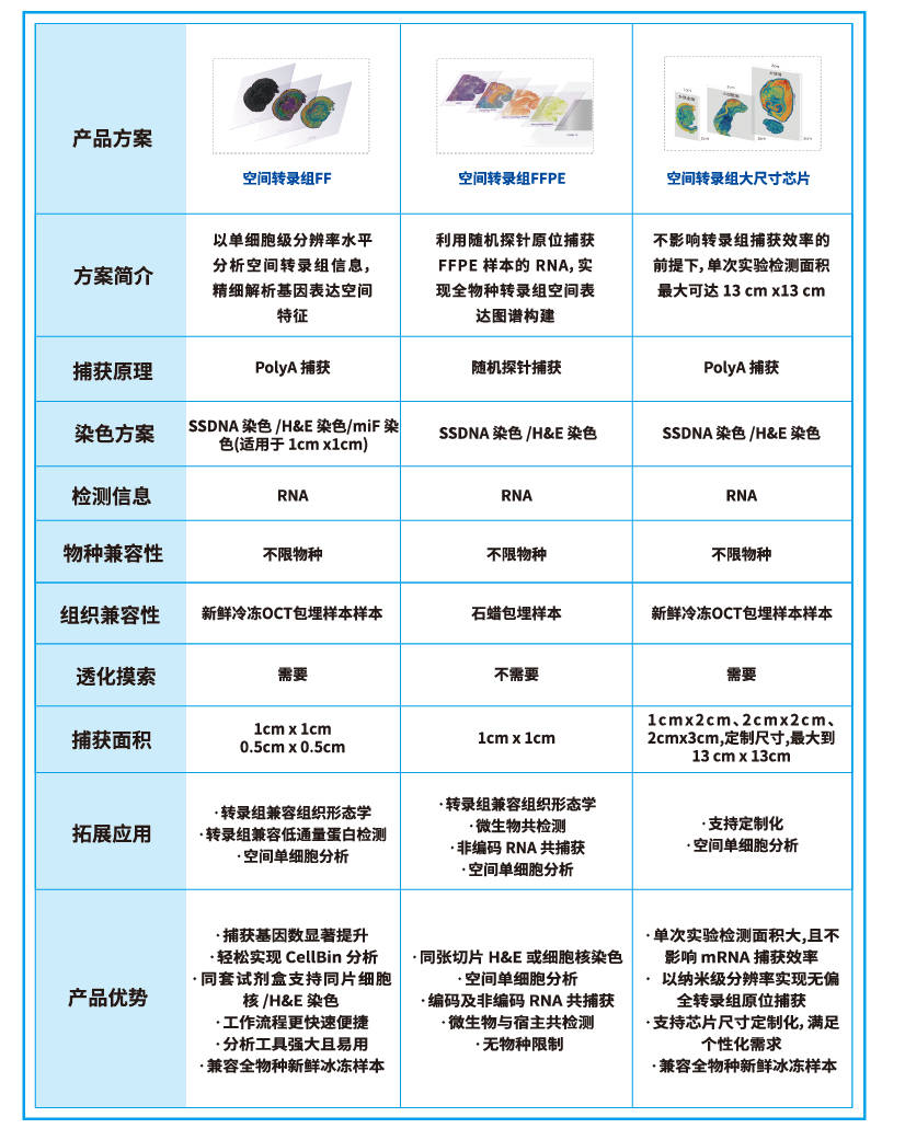 技术规格