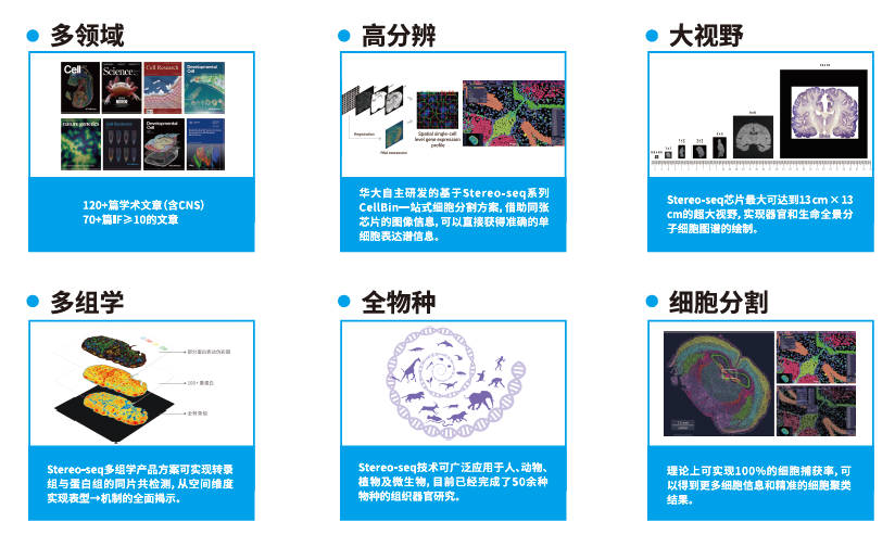 六大优势